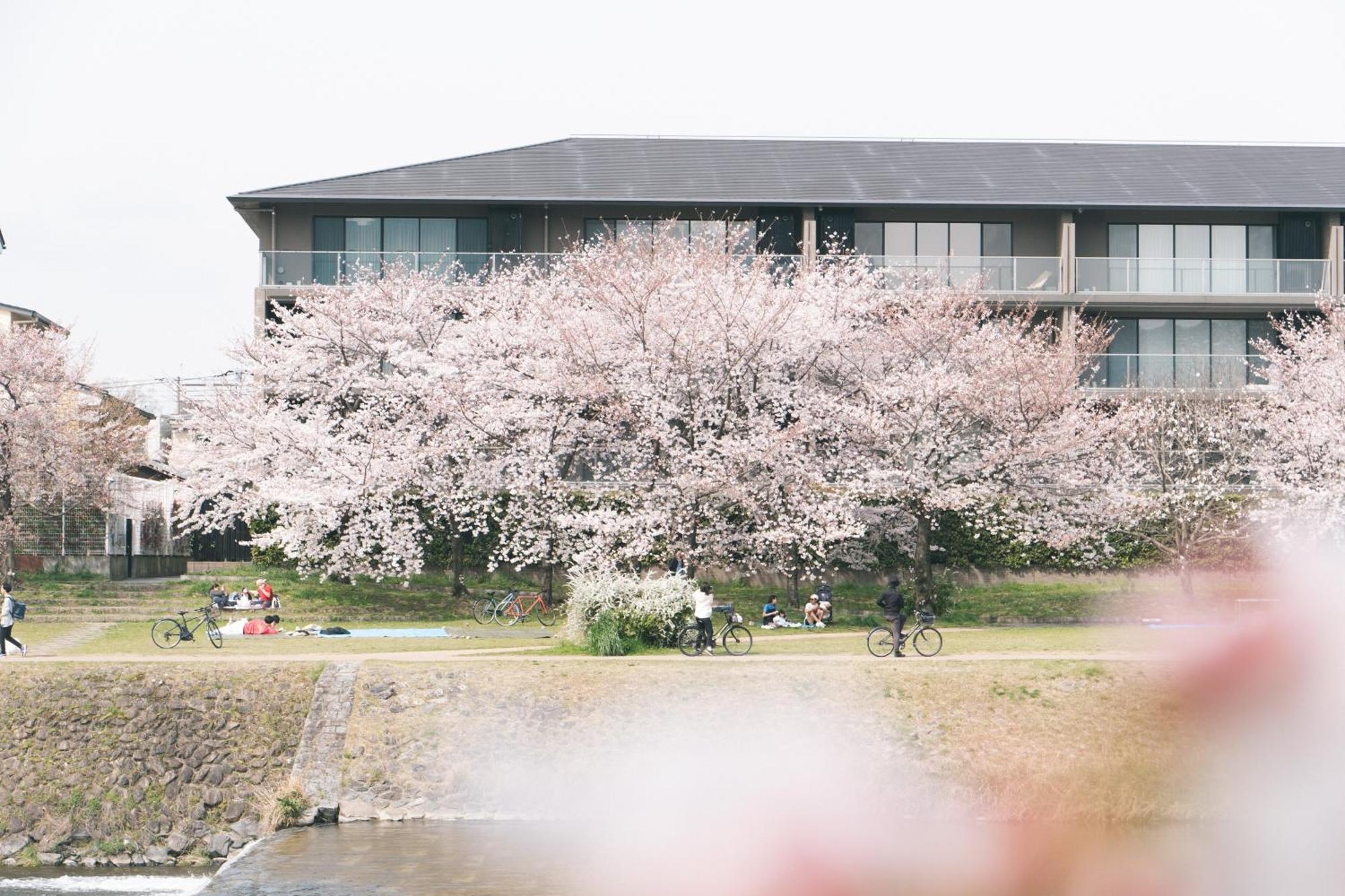 Hostel Niniroom Kyoto Dış mekan fotoğraf